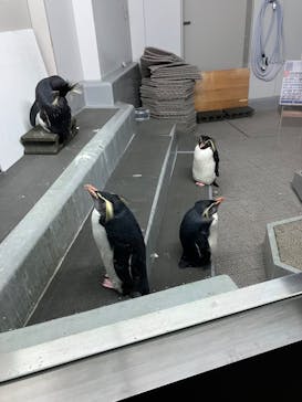 AOAO SAPPOROに投稿された画像（2024/4/15）