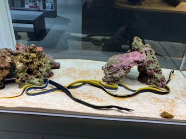 AOAO SAPPOROに投稿された画像（2024/4/15）