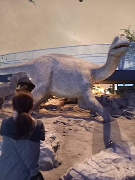 福井県立恐竜博物館に投稿された画像（2024/4/15）