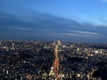 六本木ヒルズ展望台 東京シティビューに投稿された画像（2024/4/15）