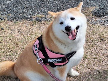 浜名湖花博2024に投稿された画像（2024/4/15）