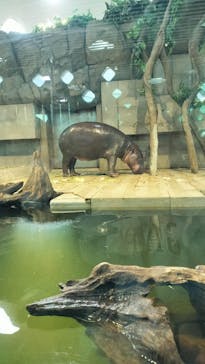 NIFREL（ニフレル）に投稿された画像（2024/4/15）