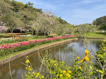 浜名湖花博2024に投稿された画像（2024/4/15）
