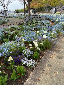 浜名湖花博2024に投稿された画像（2024/4/15）