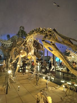 福井県立恐竜博物館に投稿された画像（2024/4/15）