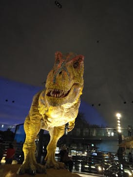 福井県立恐竜博物館に投稿された画像（2024/4/15）