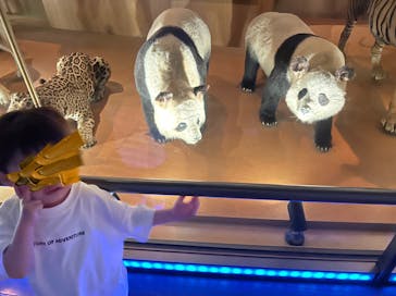 国立科学博物館に投稿された画像（2024/4/16）