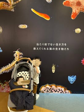 国立科学博物館に投稿された画像（2024/4/16）