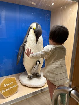 国立科学博物館に投稿された画像（2024/4/16）