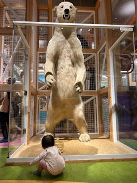 国立科学博物館に投稿された画像（2024/4/16）