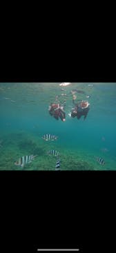 武藤潜水に投稿された画像（2024/4/16）