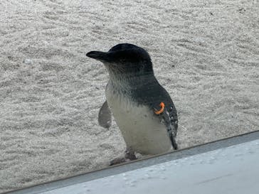 AOAO SAPPOROに投稿された画像（2024/4/16）