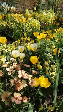 浜名湖花博2024に投稿された画像（2024/4/16）