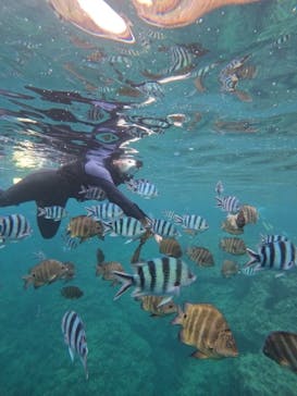 沖縄マリンサービス碧に投稿された画像（2024/4/16）