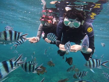 沖縄マリンサービス碧に投稿された画像（2024/4/16）