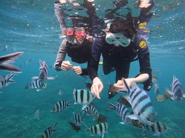 沖縄マリンサービス碧に投稿された画像（2024/4/16）