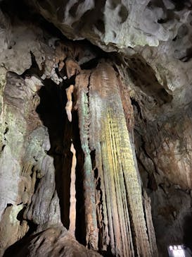 秋芳洞に投稿された画像（2024/4/16）