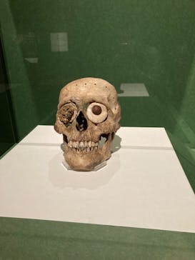 特別展「古代メキシコ ーマヤ、アステカ、テオティワカン」に投稿された画像（2024/4/16）