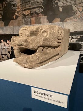 特別展「古代メキシコ ーマヤ、アステカ、テオティワカン」に投稿された画像（2024/4/16）