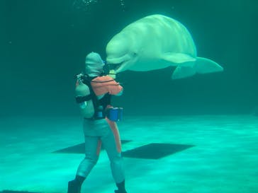 鴨川シーワールドに投稿された画像（2024/4/16）