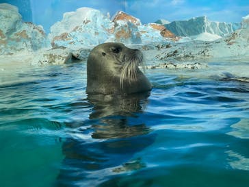 鴨川シーワールドに投稿された画像（2024/4/16）