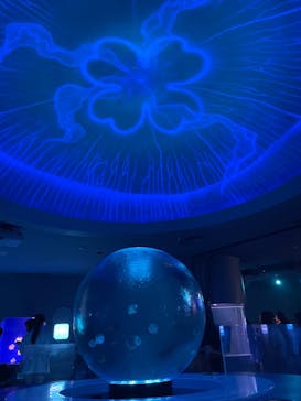 新江ノ島水族館に投稿された画像（2024/4/16）