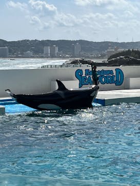 鴨川シーワールドに投稿された画像（2024/4/16）