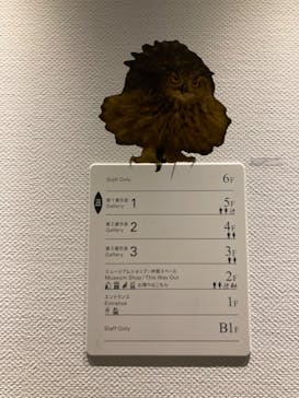 北欧の神秘（ＳＯＭＰＯ美術館）に投稿された画像（2024/4/16）