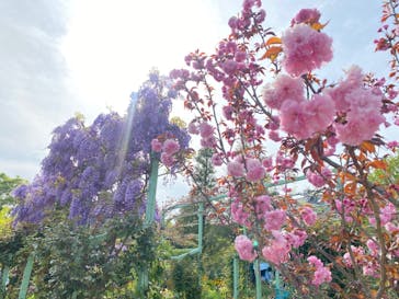 浜名湖花博2024に投稿された画像（2024/4/16）