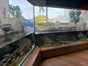 しながわ水族館に投稿された画像（2024/4/16）