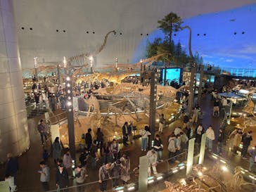 福井県立恐竜博物館に投稿された画像（2024/4/16）