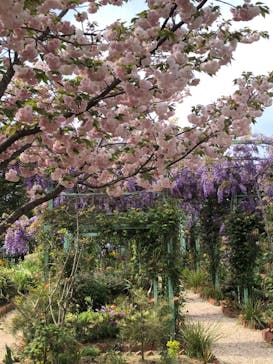 浜名湖花博2024に投稿された画像（2024/4/16）