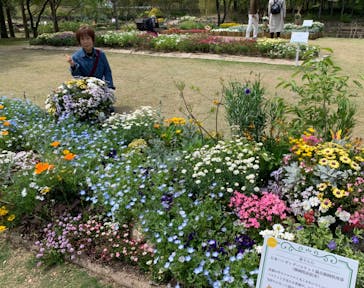 浜名湖花博2024に投稿された画像（2024/4/16）