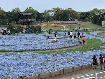 浜名湖花博2024に投稿された画像（2024/4/16）