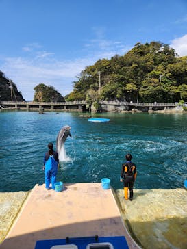 下田海中水族館に投稿された画像（2024/4/16）