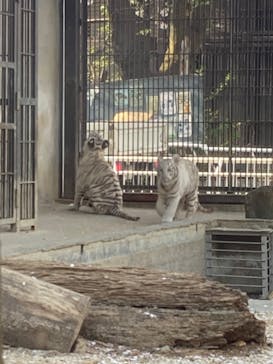宇都宮動物園に投稿された画像（2024/4/17）