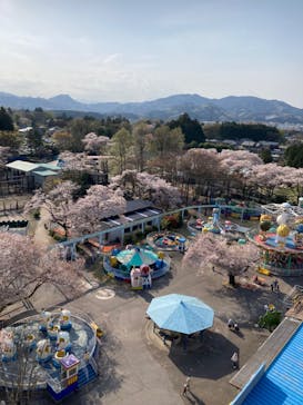 宇都宮動物園に投稿された画像（2024/4/17）