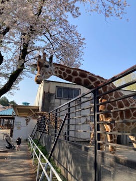 宇都宮動物園に投稿された画像（2024/4/17）