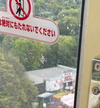 日本モンキーパークに投稿された画像（2024/4/17）