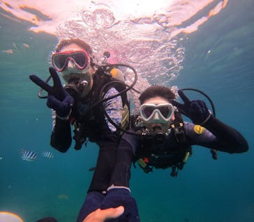 沖縄マリンサービス碧に投稿された画像（2024/4/17）