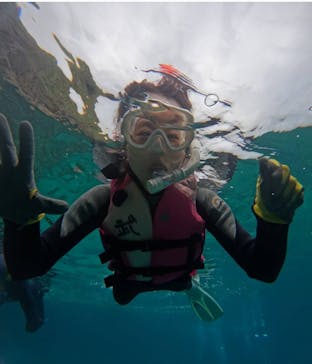 武藤潜水に投稿された画像（2024/4/17）