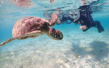 初心者専門宮古島シュノーケリングツアーに投稿された画像（2024/4/17）