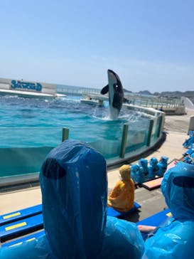 鴨川シーワールドに投稿された画像（2024/4/17）