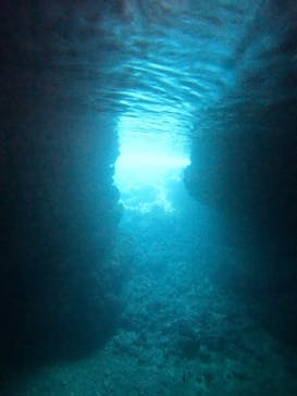 沖縄マリンサービス碧に投稿された画像（2024/4/17）