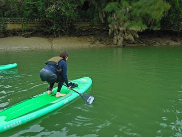 カヤックイーズに投稿された画像（2024/4/17）