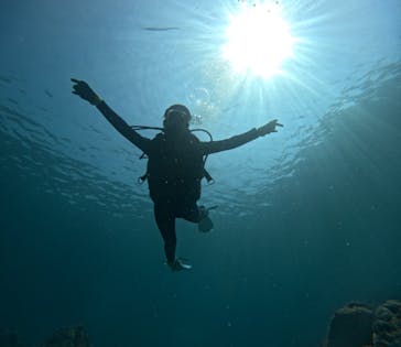 武藤潜水に投稿された画像（2024/4/17）