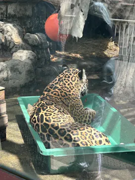 天王寺動物園に投稿された画像（2024/4/17）