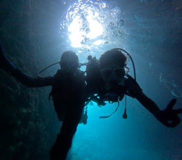 沖縄マリンサービス碧に投稿された画像（2024/4/17）