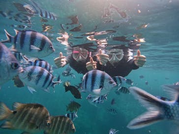 沖縄マリンサービス碧に投稿された画像（2024/4/17）