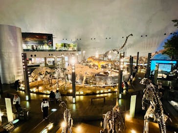 福井県立恐竜博物館に投稿された画像（2024/4/17）